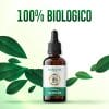 Olio di CBD 15% (1500mg) Full Spectrum - immagine 3