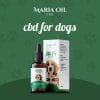 Olio CBD 5% per Cani - immagine 2