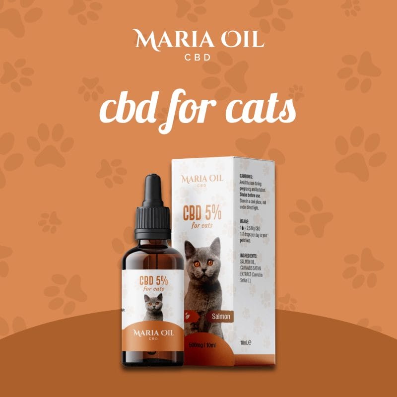 Olio CBD 5% per Gatti - immagine 2