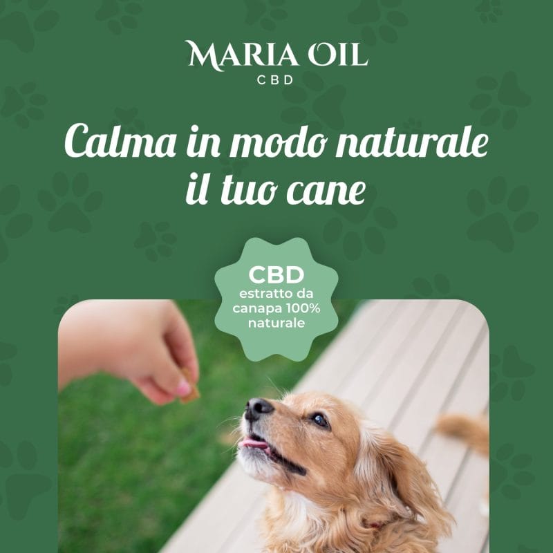 Croccantini CBD per cani con Manzo e Maiale - immagine 3