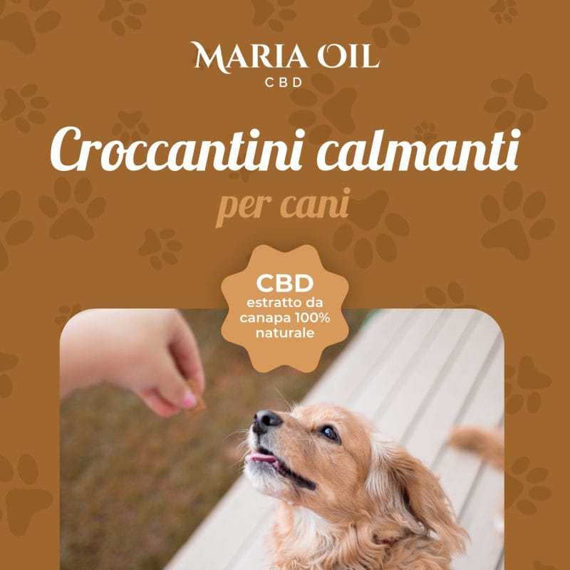 Croccantini CBD per cani con Pollo e Tacchino - immagine 3