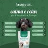 Croccantini CBD per cani con Manzo e Maiale - immagine 4