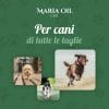 Olio CBD 5% per Cani - immagine 5