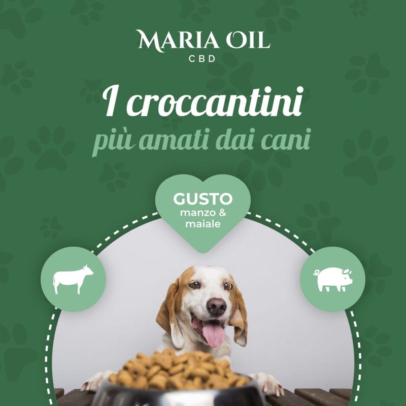 Croccantini CBD per cani con Manzo e Maiale - immagine 6