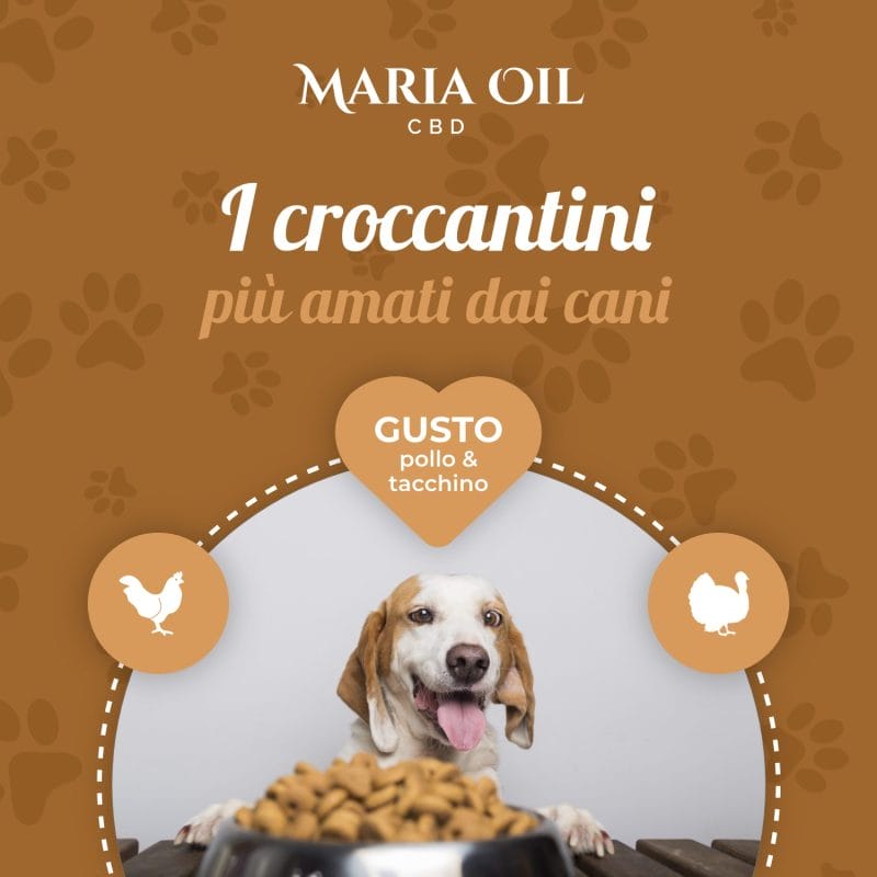 Croccantini CBD per cani con Pollo e Tacchino - immagine 6