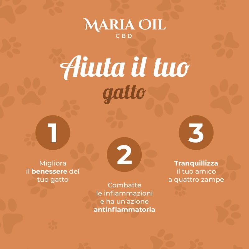 Olio CBD 5% per Gatti - immagine 6