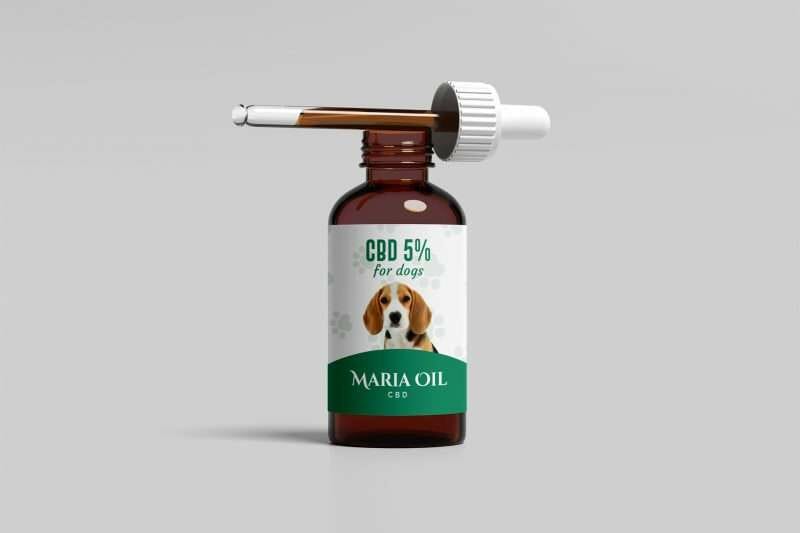 CBD Oil 5% Cani_02