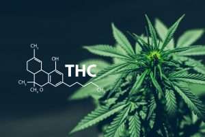 thc