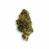 Amnesia PRO