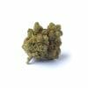 Amnesia PRO cannabis