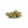 Amnesia PRO cannabis Fiore