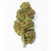 Orange BUD | Cannabis Light