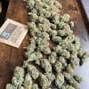 Pineapple Chunk 2