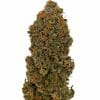 Purple_Haze