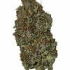 Purple_Haze6