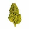 superskunk3