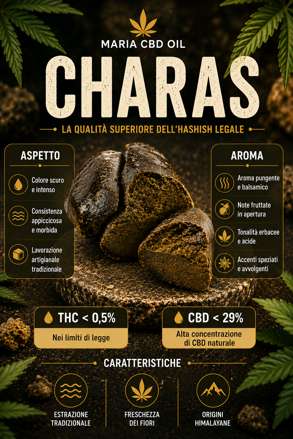 Charas - immagine 2