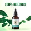 Olio di CBD 30% (3000mg) Full Spectrum - immagine 3