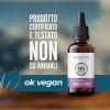 Olio di CBD 25% (2500mg) Broad Spectrum - immagine 4