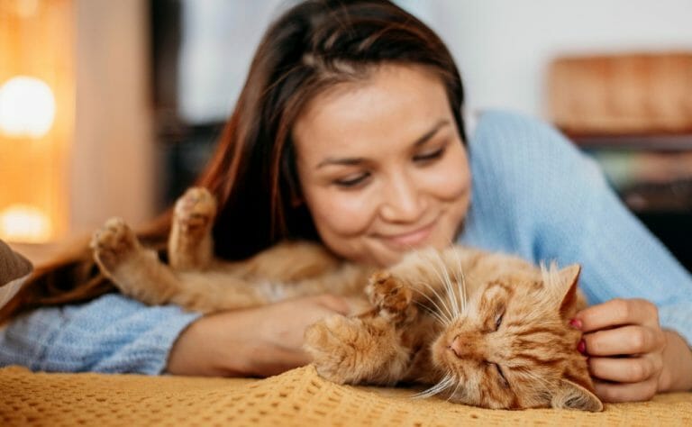 cbd per i gatti con il cancro
