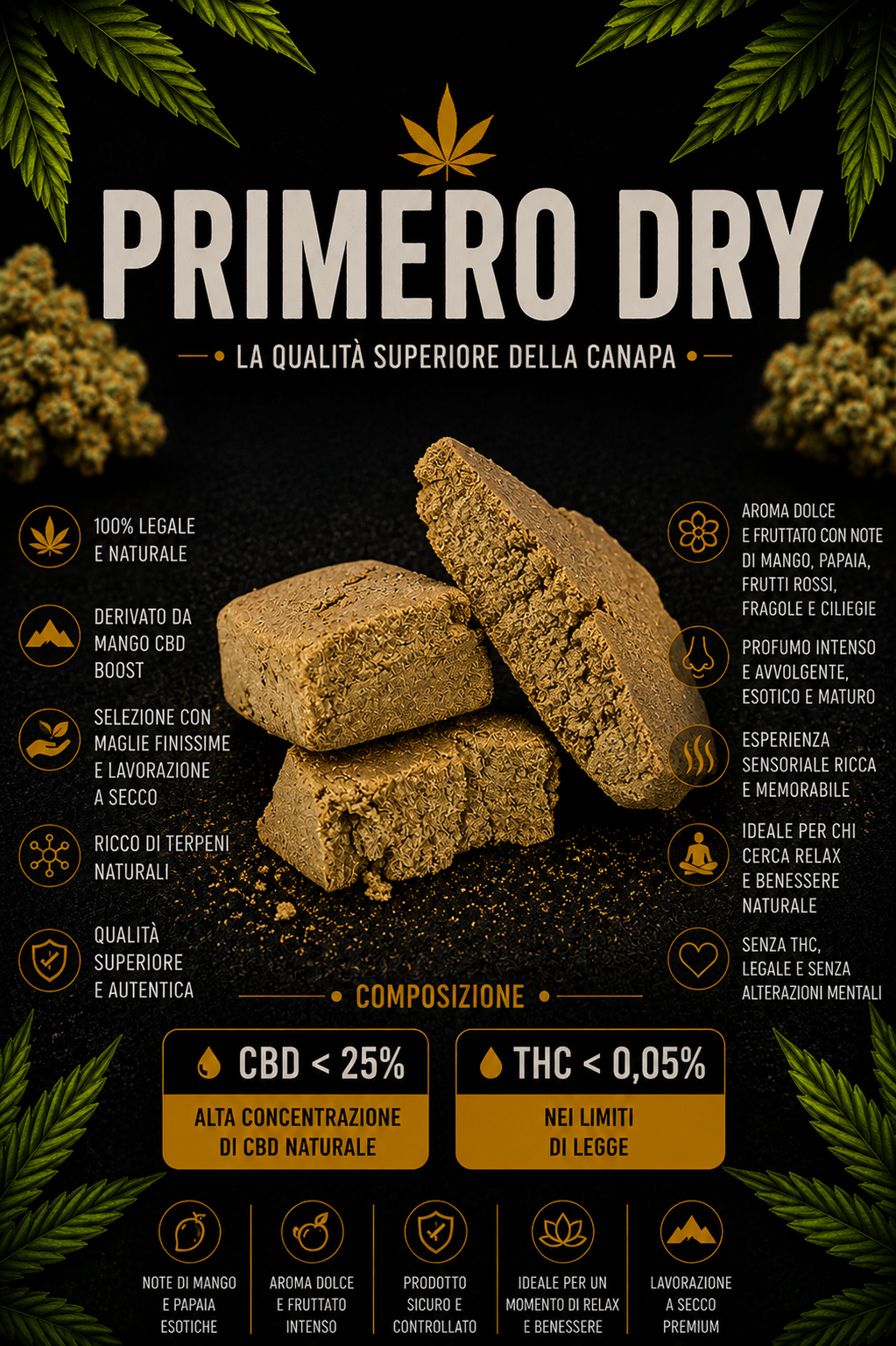 Primero Dry - immagine 2