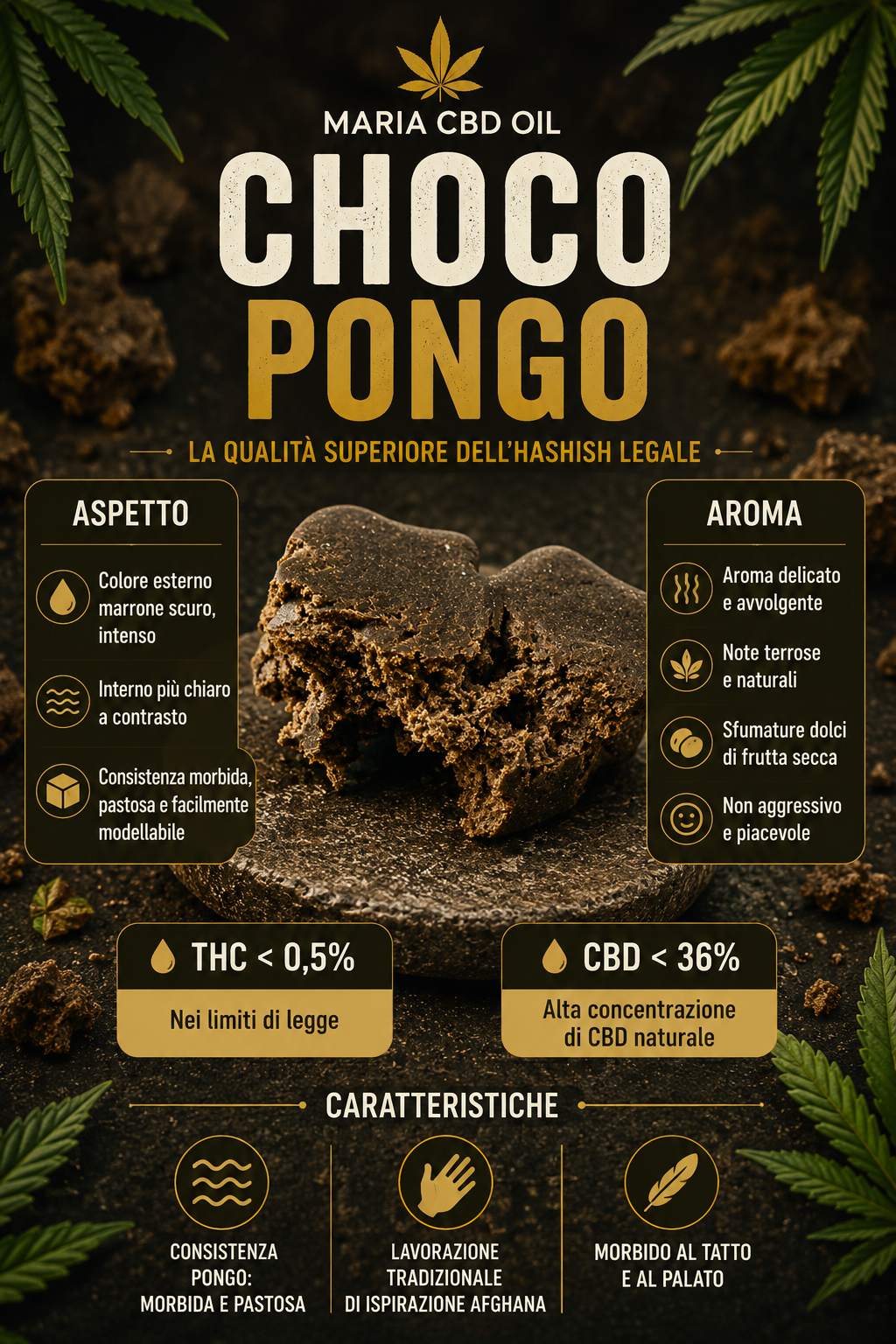 Choco Pongo - immagine 2