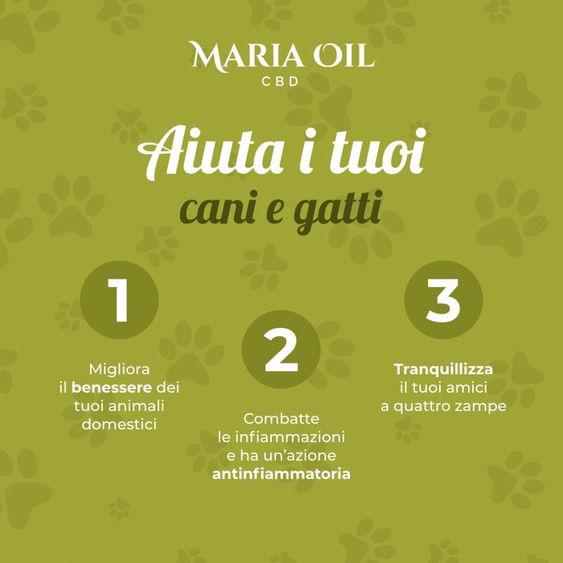 Olio CBD Pet 5% per animali - immagine 5