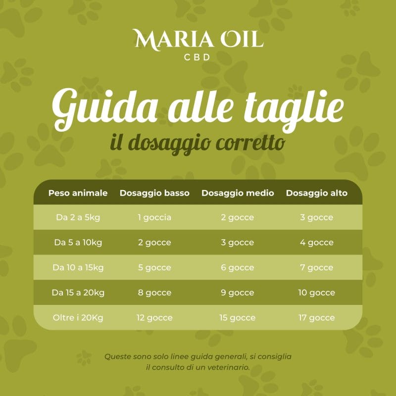 Olio CBD Pet 5% per animali - immagine 6