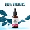 olio di CBD 20% broad spectrum biologico