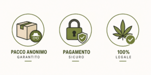Infografica con le principali garanzie di Maria CBD Oil: pacco anonimo garantito, pagamento sicuro e prodotti 100% legali.