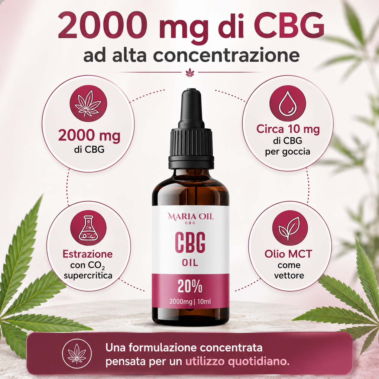 Infografica dell'Olio CBG 20% Maria CBD Oil con 2000 mg di CBG, circa 10 mg per goccia, estrazione con CO₂ supercritica e olio MCT come vettore.