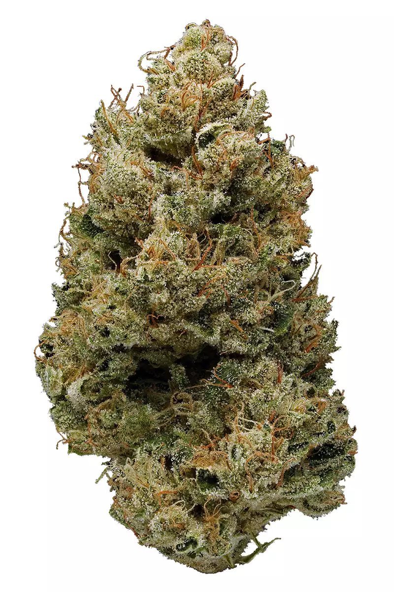 Banana Kush CBD Indoor – Fiore cannabis light premium