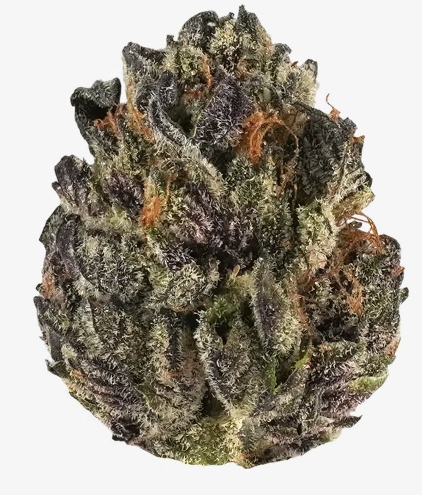 Tropicana - Green House