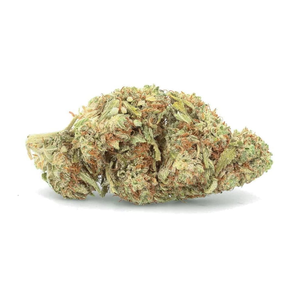white-whale-indoor-CBG